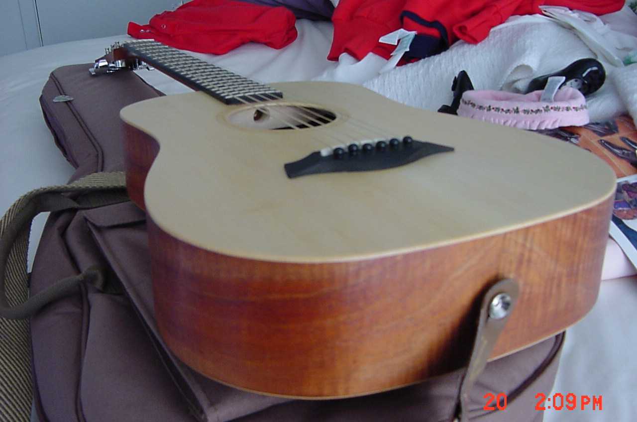 taylorguitartop.jpg